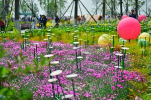 Programm der Landesgartenschau 2017