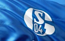 Flagge mit Logo vom Bundesligisten FC Schalke