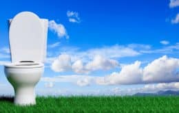 borstenlose WC Bürsten - für eine bessere Umwelt