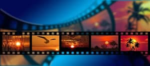 Filmvertrieb und Filmverleih