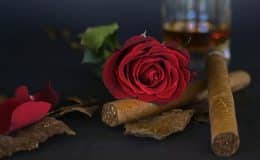 Zigarren rollen » So zaubern die Torcedores auf Kuba!