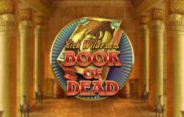 Book of Dead erfreut sich seit Jahren gleicher Beliebtheit