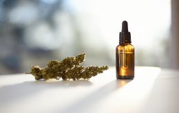 CBD-Blüten kaufen: Warum kaufen so viele Deutsche sogenannte CBD-Blüten?