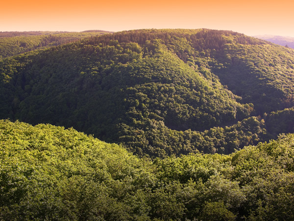 Das Hunsrück Gebirge in Rheinland-Pfalz