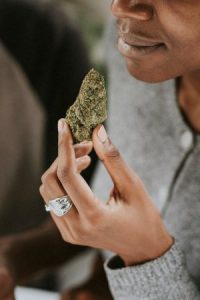 Cannabis Konsum, Anbaue und soziale Aspekte