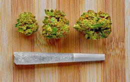 Sicherer Cannabiskonsum: Ein Leitfaden für Einwohner von Rheinland-Pfalz