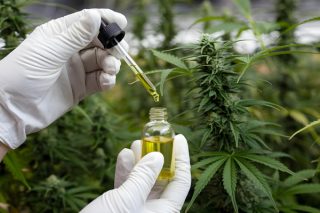 Cannabis-Cremes und -Tropfen