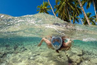 Curacao – begehrtes Tauchgebiet und ein Erlebnis mit der Carnival Cruise Line