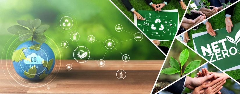 Herausforderungen und Risiken der digitalen Nachhaltigkeit