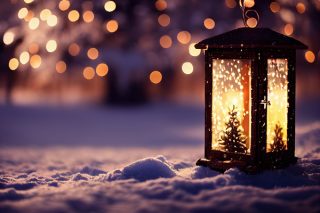 Wichtigste Infos zum Christmas Garden