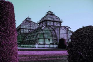 165 Jahre Zoo in Köln