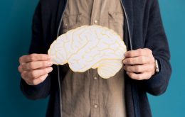 Belohnungssystem im Gehirn: Wie Dopamin unser Verhalten steuert