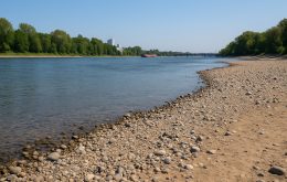 Ungewöhnlich niedrig: Geringer Pegelstand des Rheins sorgt für Besorgnis
