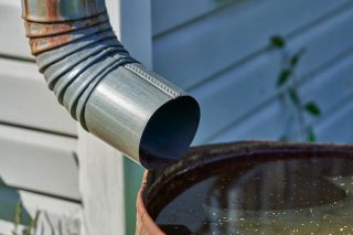 Wasser sparen im Garten mit der Regentonne