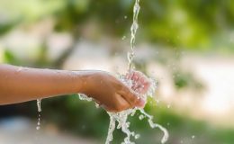 Wasser sparen im Haushalt: Effektive Maßnahmen für den Alltag