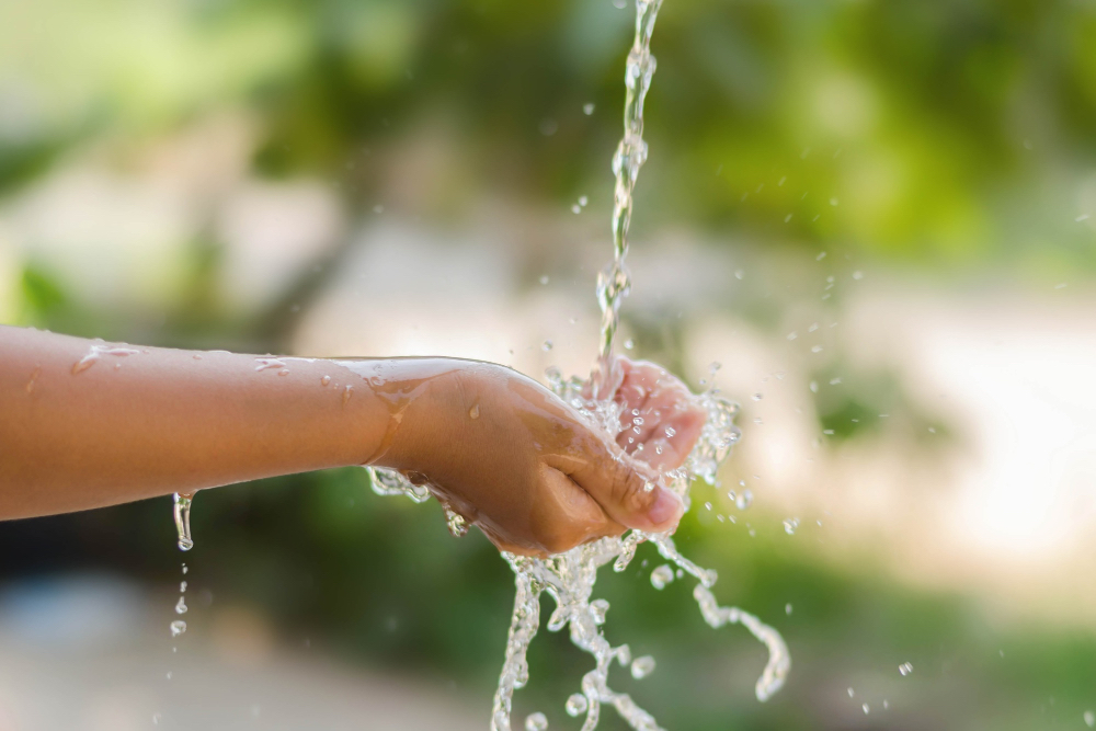 Wasser sparen im Haushalt: Effektive Maßnahmen für den Alltag