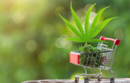 Cannabis bestellen online: So funktioniert der rechtssichere Weg zur medizinischen Behandlung in DeutschlandMedizinische THC- und CBD-Produkte können wissenschaftlich belegt bei einer Reihe von gesundheitlichen Beschwerden, wie beispielsweise Schlafstörungen, chronischen Schmerzen und Appetitlosigkeit, für Abhilfe sorgen. Viele Patienten, die darüber nachdenken, Cannabis als mögliche Behandlungsoption in Erwägung zu ziehen, stehen jedoch vor der Frage: Was ist legal, was nicht und wie kommt man eigentlich an medizinisches Cannabis? Dieser Leitfaden führt Sie Schritt für Schritt durch den rechtlichen Ablauf und gibt einen Überblick darüber, wie medizinisches Cannabis in Deutschland erhältlich ist, in welchen Fällen es helfen kann und unter welchen Voraussetzungen die Kosten von der Krankenkasse übernommen werden können. Warum „Cannabis bestellen online“ nur mit Rezept sinnvoll und legal ist Medizinisches Cannabis ist in Deutschland ein verschreibungspflichtiges Medikament und das aus gutem Grund. Durch die Einstufung als Medikament unterliegt es strengen Qualitätsstandards, festgelegten Wirkstoffgehalten bei THC und CBD sowie strikten Vorgaben in Sachen Reinheit und Chargensicherheit. Für Patienten, die eine Behandlung mit medizinischem Cannabis anstreben, bedeutet das: Eine seriöse Versorgung beginnt immer mit einer ärztlichen Abklärung der gesundheitlichen Situation durch einen Arzt, welcher gegebenenfalls ein Rezept ausstellt, das eine Abgabe durch eine lizenzierte Apotheke oder über eine Plattform wie Releaf ermöglicht, welche das medizinische Cannabis bestellen online zugänglich macht. Angebote, die eine Therapie ohne ärztliche Begleitung oder gar „ohne Rezept“ suggerieren, sind rechtlich problematisch und können Ihre Gesundheit gefährden. Ein strukturierter, medizinisch geleiteter Prozess schützt Sie also doppelt, sowohl rechtlich als auch gesundheitlich. Rechtliche Grundlagen für medizinisches Cannabis in Deutschland Grundlage für die Verwendung von Cannabis im medizinischen Kontext bildet in Deutschland seit 2017 das Betäubungsmittelgesetz (BtMG), welches damals um entsprechende Regelungen erweitert wurde und erstmals die Verwendung von medizinischem Cannabis möglich machte. Überwacht wird die Abgabe und Bereitstellung unter anderem durch das Bundesinstitut für Arzneimittel und Medizinprodukte (BfArM). Für Sie als Patient bedeutet das ganz konkret, dass medizinisches Cannabis nicht frei verkäuflich ist. Jede Abgabe erfolgt ausschließlich auf Basis einer ärztlichen Verordnung und wird zusätzlich von einer Apotheke geprüft. Geeignete Indikationen & Evidenz - Wann kann Cannabis helfen? Wenn man sich als Patient die Frage stellt, ob medizinisches Cannabis bei den eigenen Beschwerden helfen könnte, gibt es einige Punkte zu beachten. Häufig wird die Verschreibung von medizinischem Cannabis erst dann in Betracht gezogen, wenn andere Therapien oder Medikamente keine ausreichende Wirkung gezeigt haben. Häufig findet das Arzneimittel Anwendung bei chronischen Schmerzen, Spastiken im Rahmen von Multipler Sklerose oder auch bei Übelkeit und Appetitlosigkeit während einer Krebsbehandlung. Wichtig ist dabei eine realistische Erwartungshaltung: Medizinische THC- und CBD-Produkte sind kein Allheilmittel und nicht jeder Patient profitiert gleichermaßen von der Therapie. Am Ende entscheidet immer eine ärztliche Einschätzung, ob eine Behandlung mit Cannabis im individuellen Fall sinnvoll ist. Schritt für Schritt: Von der Erstbeurteilung bis zur Apotheke Wie also kommt man nun zu medizinischem Cannabis und wie sieht in der Regel der Behandlungsverlauf aus? Hier ein kurzer Überblick: Digitale Voranmeldung & Anamnese Zunächst erfolgt einen Übermittlung der Befunde, Diagnosen und bisherige Therapien. Diese Informationen helfen dem Arzt, eine erste Einschätzung vorzunehmen. Ärztliches Gespräch (telemedizinisch oder in Präsenz) In einer ausführlichen Sprechstunde werden Beschwerden, bisherige Behandlungen und mögliche Kontraindikationen besprochen. Bei Eignung folgt die Ausstellung eines Rezepts. Therapieplan & Aufklärung Der Arzt legt Dosierung, Darreichungsform und mögliche Anpassungen fest. Patienten werden über Wirkungen, Nebenwirkungen und Alltagsthemen wie Fahrtüchtigkeit aufgeklärt. Belieferung durch lizenzierte Apotheke Das Rezept wird geprüft und das Medikament über eine deutsche, lizenzierte Apotheke bereitgestellt. Dadurch ist die Qualität und Sicherheit der Produkte gewährleistet. Verlaufsdokumentation & Folgerezept Wirkung, Nebenwirkungen und Therapiefortschritte werden dokumentiert. Auf dieser Grundlage entscheidet der Arzt über Dosisanpassungen oder Folgerezepte. Kosten & mögliche Erstattung (GKV/PKV) Die Kosten für eine Behandlung mit medizinischem Cannabis setzen sich sowohl aus der Konsultation durch einen Arzt als auch aus dem eigentlichen Arzneimittelpreis zusammen. Der Preis für medizinisches Cannabis selbst liegt bei Blüten meist zwischen 8 und 25 Euro pro Gramm, abhängig von den Weedsorten. Extrakte und andere Medikamentenformen können je nach Wirkstoffgehalt teurer sein. Eine Kostenerstattung durch die gesetzliche Krankenversicherung (GKV) ist seit 2017 grundsätzlich möglich, jedoch nur unter bestimmten Voraussetzungen: Es muss eine schwerwiegende Erkrankung vorliegen und andere Therapien dürfen keinen ausreichenden Erfolg gezeigt haben. Die Anträge werden dabei immer individuell überprüft. Mehr Details zu Kostenübernahmen durch die gesetzliche Krankenversicherung finden Sie auf der Website der Kassenärztlichen Bundesvereinigung. Fahrtauglichkeit unter medizinischem Cannabis Wer medizinisches Cannabis auf ärztliche Verordnung einnimmt, muss grundsätzlich nicht befürchten, automatisch als „Drogenkonsument“ eingestuft zu werden, selbst wenn in einem Urin- oder Bluttest THC nachgewiesen werden kann. Der entscheidende Punkt ist, ob Sie fahrtauglich sind. Fahren unter erkennbarer Beeinträchtigung durch Cannabis ist auch mit Rezept verboten und kann rechtliche Folgen haben. Medizinische Cannabisprodukte können Reaktionszeit, Aufmerksamkeit und Urteilskraft im Straßenverkehr beeinträchtigen. Es empfiehlt sich besonders in der Einstellungsphase und nach jeder Dosisanpassung zunächst bewusst ohne Auto auszukommen, die eigene Alltagsbelastbarkeit zu testen und individuelle Risiken mit dem Arzt zu besprechen. Weg zu mehr Klarheit mit medizinischem Cannabis Medizinisches Cannabis kann für Patienten mit bestimmten Erkrankungen eine wertvolle Therapieoption sein und ist in Deutschland auf ärztliche Verordnung sowohl in stationären Apotheken als auch über Online-Anbieter legal erhältlich. Wichtig ist dabei zu beachten, dass CBD- und THC-Produkte keine Standardtherapien ersetzen und nur in enger Begleitung durch einen Arzt sowie unter Einhaltung der rechtlichen Vorgaben verwendet werden sollten.