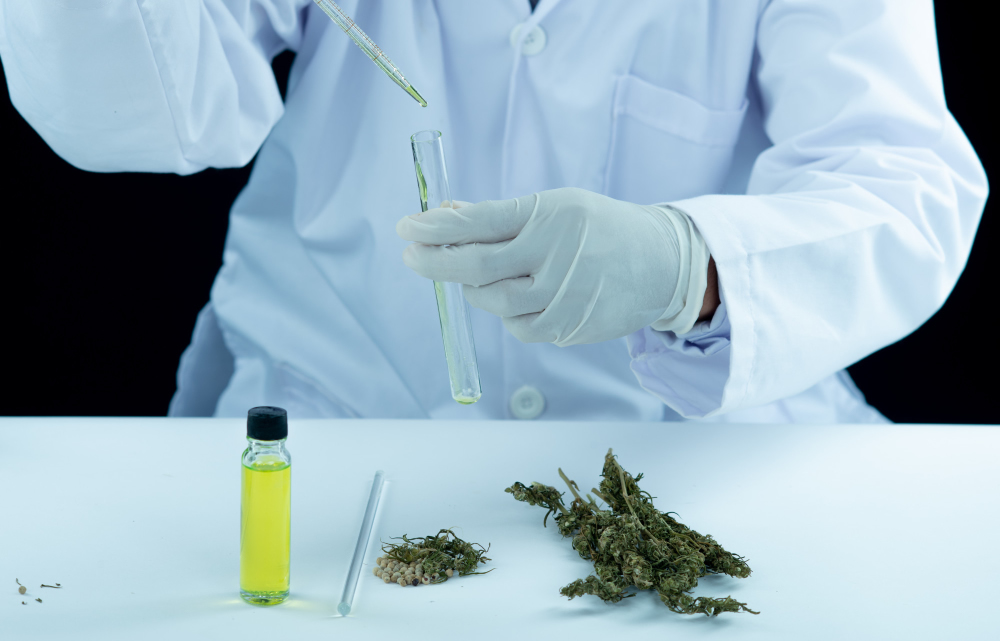 Grenzbereiche und experimentelle Forschung
