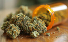 Premium CBD-Blüten: Die gehobene Welt des Cannabis-Genusses