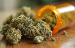 Premium CBD-Blüten: Die gehobene Welt des Cannabis-Genusses