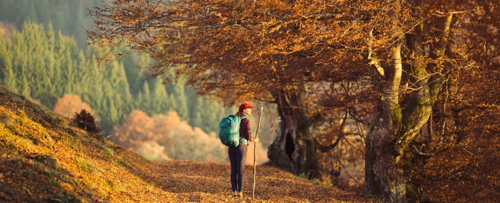 Top-Wanderwege und Routen