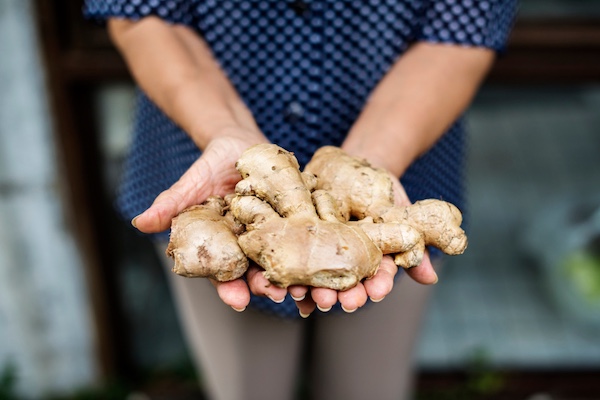 Ingwer als Tradition