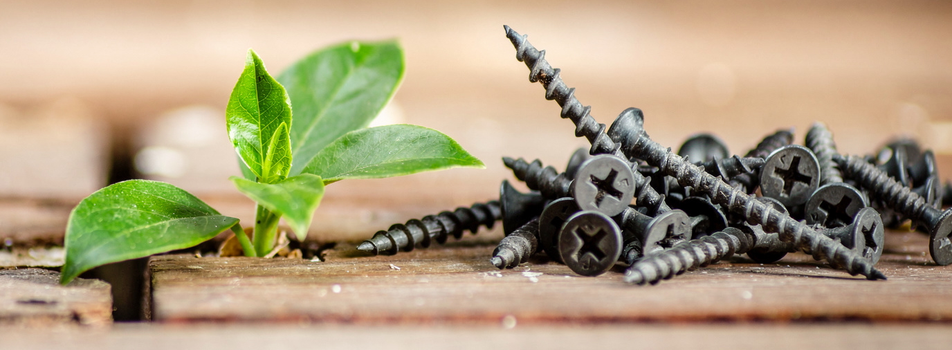 Schrauben bequem online kaufen: Wie sieht die Entwicklung bezüglich der Nachhaltigkeit und der Qualität aus?