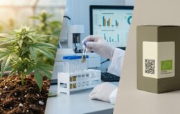 Qualität und Seriosität beim Cannabiskauf erkennen