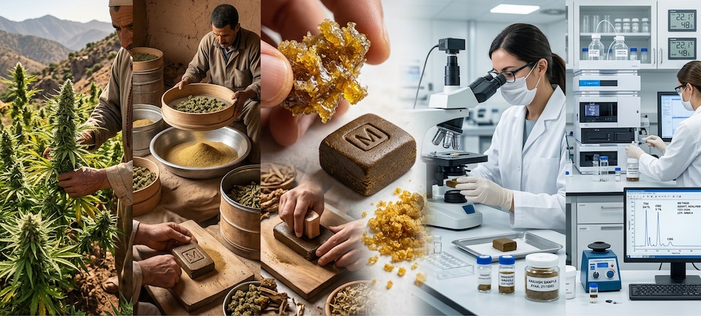 Von den Rifbergen bis zum Laborkolben