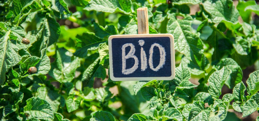 Bio-Qualität