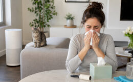 Katzenallergie trotz Haustier: Was wirklich hilft