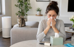 Katzenallergie trotz Haustier: Was wirklich hilft