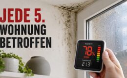 Schimmel, Feuchte, schlechte Luft: Das 5-Punkte-Protokoll für ein gesundes Zuhause