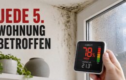 Schimmel, Feuchte, schlechte Luft: Das 5-Punkte-Protokoll für ein gesundes Zuhause