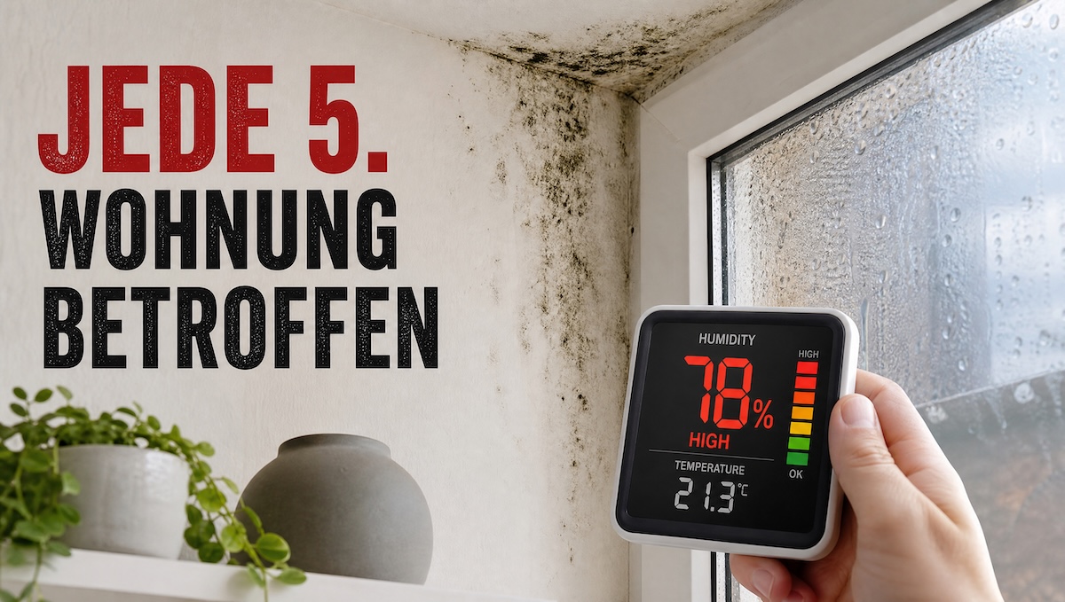 Schimmel, Feuchte, schlechte Luft: Das 5-Punkte-Protokoll für ein gesundes Zuhause
