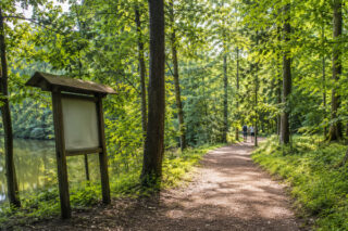 Waldlehrpfad Heimbacher Wald – leicht und lehrreich in Neuwied