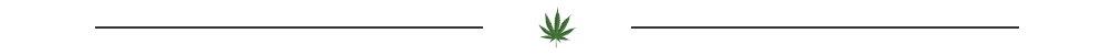 Cannabis und Hanf-Initiativen in Deutschland