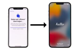 Neues iPhone einrichten und Daten übertragen