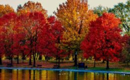 Herbstferien in Rheinland-Pfalz