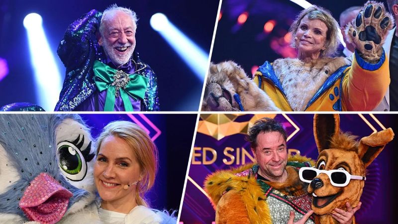 Masked Singer 2026 Enthüllungen